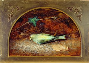 A Dead Linnet de John Atkinson Grimshaw