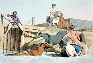 Cavalos de Banho, gravados pelo artista, publicado em 1803 (cor litho) de John Augustus Atkinson