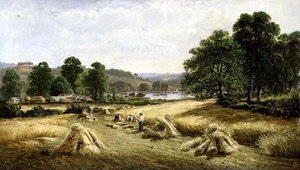 Reunindo o grão de ouro perto de Bishopsteignton, Plymouth de John Barrett