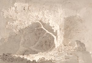 Estudo das árvores