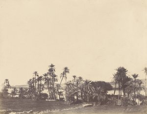 [Margens do Nilo, Kalabsché] de John Beasley Greene