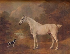 Um cinza pulga-mordido e um Terrier manchado, 1803.