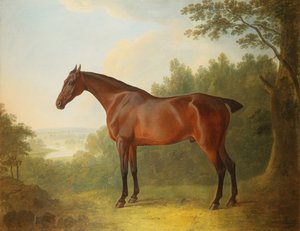 Marquês, um caçador de bay em uma paisagem, 1811