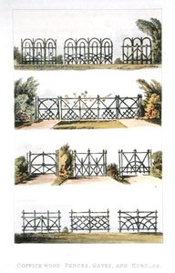 Cercas, portões e barreiras de madeira de talha, do "Repositório de Artes" de Ackermann, publicado em 1823 (cor litho) de John Buonarotti Papworth