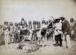 Esfolando carne, 1891
