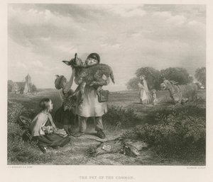 O animal de estimação da terra comum de John Callcott Horsley