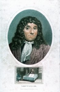 Anton van Leeuwenhoek 1632-1723, microscopista holandês, c1810