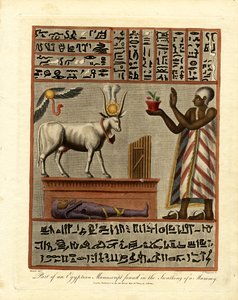 Parte de um manuscrito egípcio encontrado na cova de uma múmia de John Chapman