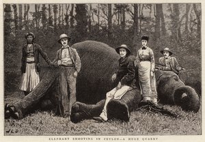 Tiro de elefante no Ceilão, uma enorme pedreira
