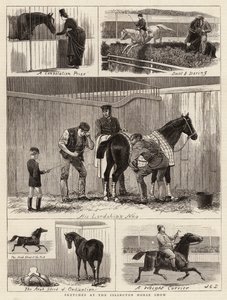 Esboços no Islington Horse Show