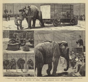 A venda em leilão do Grande Circo Americano e Hipódromo de Myers de John Charles Dollman