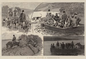 Um dia de filhote de caça em Pembrokeshire