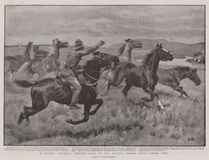 Um Colonial Plucky, dirigindo alguns dos Cavalos do Inimigo enquanto sob Fogo