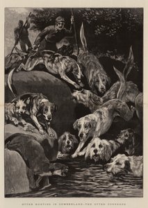 Otter Hunting em Cumberland, a lontra encurralada
