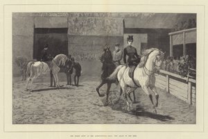 A mostra do cavalo no salão agrícola, os árabes no anel