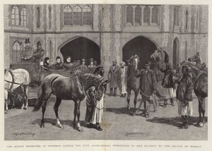 A Rainha recebendo no Castelo de Windsor os Cinco Cavalos Árabes apresentados a Sua Majestade pelo Sultão de Mascate