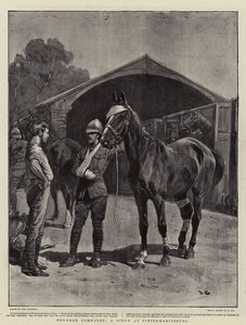 Camaradas feridas, uma cena em Pietermaritzburg