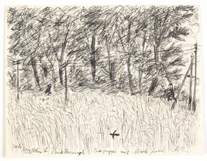 Vridslösemagle. Grupo de árvores com campo na frente. Tarde de John Christensen