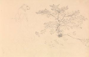 Estudo de um cão com coleira e de ramos de árvores de John Christian Schetky