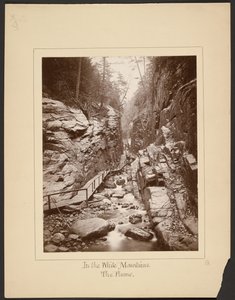 Nas Montanhas Brancas/The Flume de John Coates Browne