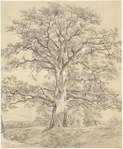 Um grande carvalho de John Constable