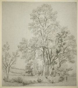 Uma Bancada de Olmos (reto); Um Estudo de East Bergholt com a Igreja (verso) de John Constable
