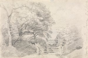 Madeira Coombe de John Constable
