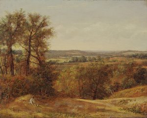 Dedham Vale, 1802. de John Constable