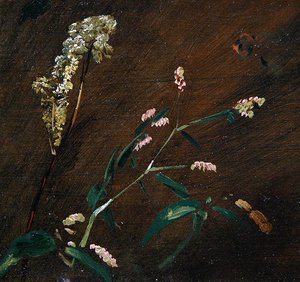 Estudos Florais: Persicaria e Meadowsweet (óleo sobre tela colocado em painel) de John Constable