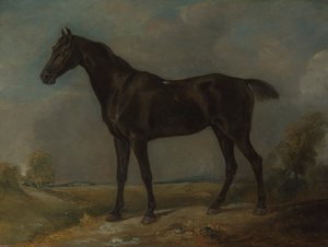 Cavalo Negro do Constable de Golding de John Constable