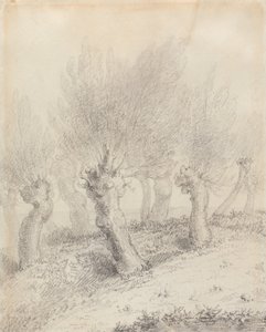 Salgueiros podados em forma de coluna de John Constable