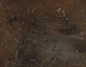 Rush por uma piscina de John Constable