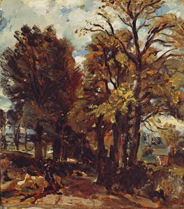 Sketch of a Lane em East Bergholt, c.1810 (óleo sobre papel colocado sobre tela) de John Constable