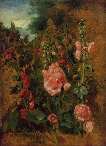 Estudo das malvas-rosa, c.1826 de John Constable