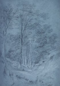 Estudo de cinzas e outras árvores (lápis sobre papel, aumentado com giz branco) de John Constable