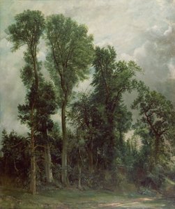 Árvores em Hampstead de John Constable