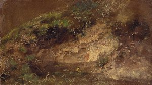 Undergrowth, c.1821 (óleo sobre papel a bordo) de John Constable