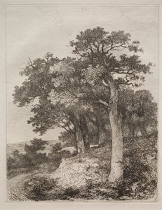 Em Colney. de John Crome