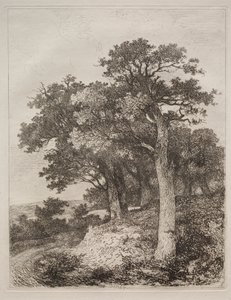 Em Colney de John Crome