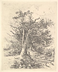 Troncos de árvore e pista, 1811-13. de John Crome