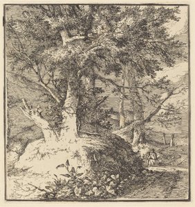 Árvore em um monte de John Crome