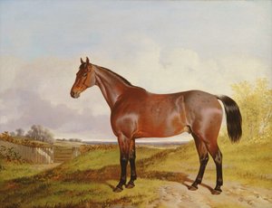 Estudo de um Bay Hunter em uma paisagem, 1854