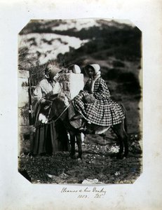 Eleanor e o seu burro de John Dillwyn Llewelyn