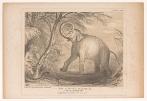 Spotprent conheceu Lord Ellenborough como um gnu olifante
Uma trombeta de elefante selvagem. Uma Cena do Paraíso Perdida! (título sobre o objecto)
HB Sketches (título da série sobre o objecto) de John Doyle