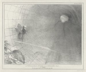 Talleyrand também gira em zijn web, 1832 Uma aranha venerável e uma mosca zumbidora. (A Fable) (título no objeto) Sketches Políticos (título da série) de John Doyle