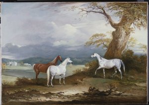 Éguas de Lord Macdonald nas terras de Thorpe Hall, Rudston, Yorkshire, 1836