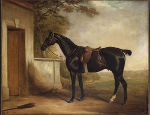 Retrato de Buckle, Caçador do Primeiro Lorde Chesham, 1836
