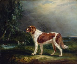 Dois Spaniels por um córrego, um colocando Mallard de John E. Ferneley