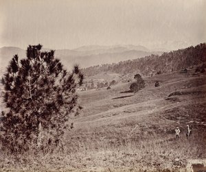 Paisagem com Árvore e Três Homens, Índia