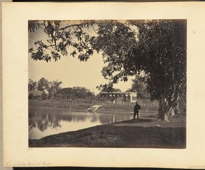 Ver em Rajah Ghosauls Garden